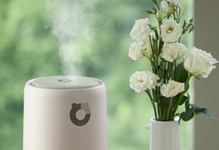 冬季家居，加濕器選購(gòu)指南